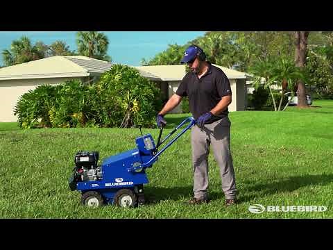 BlueBird Sod Cutter - Cut to the Chase