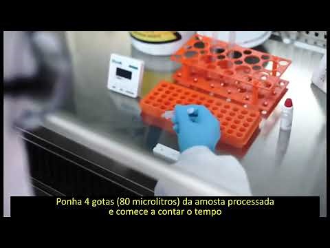 Teste de Antígeno (Wondfo Antigen Test)