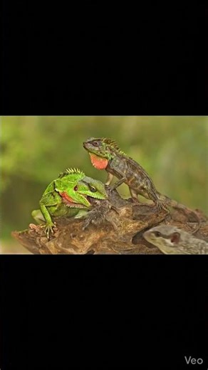 I Proved Our Reality is a Simulation