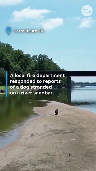 Indiana fire department saves dog stranded on river sandbar using a drone