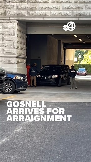 Suspended Charleston County Judge James Gosnell arrived Thursday morning in Charleston to be arraigned for his multiple charges related to the possession of child sexual abuse material. | WCIV | ABC News 4