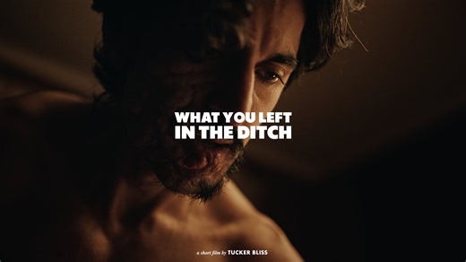 What You Left In The Ditch