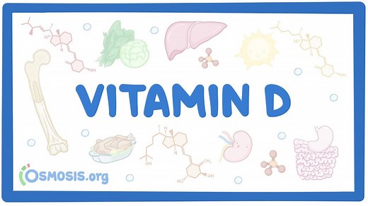 Vitamin D: Video, Causes, & Meaning | Osmosis