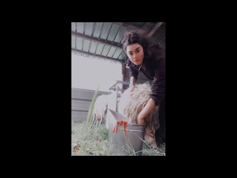 Smart Worker Amazing Machinery Compilation ⚙️ | Amazing Machines & Smart Work #smartworkers