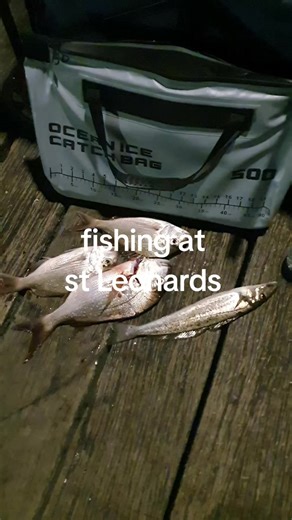 Successful Night Fishing at St Leonard's