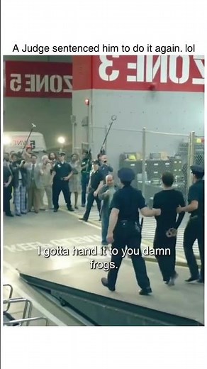 The Walk (2015)