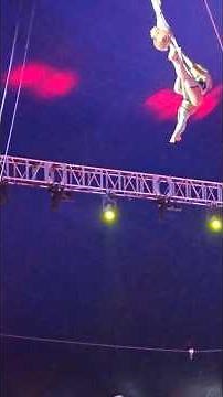 🌟 Amazing Aerial Feats! Epic Gravity-Defying Performance at Garden Bros Circus 🎪✨