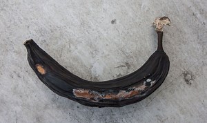 Bananas: Experts explain how to keep the fruit fresh