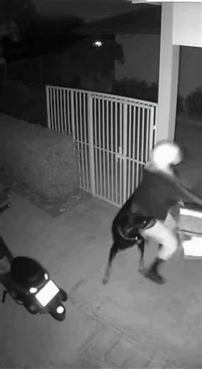 CCTV Camera Captures Dog Attack : This Happened With Delivery Girl😰 #cctvfootage #dogattack #attack