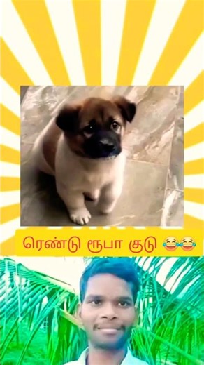 en renduruba kudu poren 😂😂😂 #viral #comedy #reaction