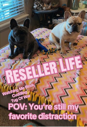 Reasons I never get caught up in my reselling business!#reselling #resellingcommunity #resellerlife #dogsoftiktok #smallbusiness