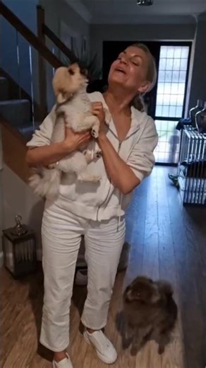WHEN THE DOG GOES MAD WHEN YOU GET HOME