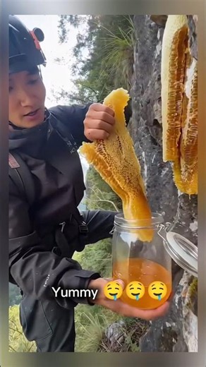 🍯 Amazing Giant Honeycomb on Mountain Top! Nature's Hidden Treasure 😱🐝 #shorts #beehive #honey #bee