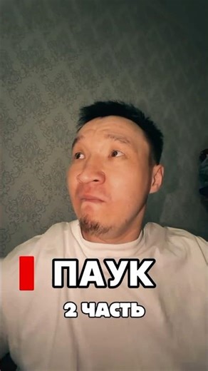 ПАУК | 2 ЧАСТЬ |