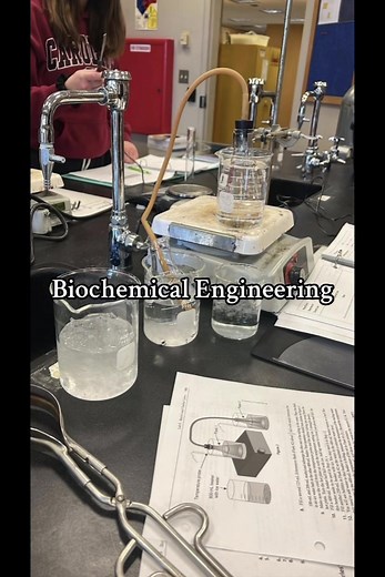 Exploring the Wonders of Biochemical Engineering