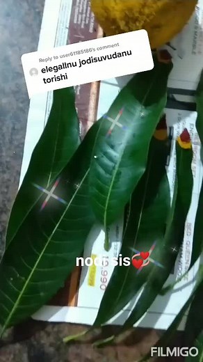 Reply to @user61185186 noodi naanu heegey yeley jodisodhu😄💞#sharethecare heygidey