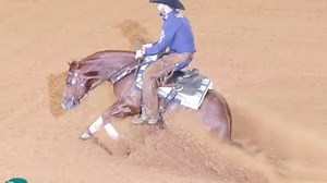 𝙈𝙚𝙮𝙯𝙚 𝘾𝙖𝙩 𝙎𝙀𝙇𝙇𝙎 𝙤𝙣 𝙎𝙪𝙣𝙙𝙖𝙮, 𝙊𝙘𝙩𝙤𝙗𝙚𝙧 13𝙩𝙝 - $40,000 𝙀𝙖𝙧𝙣𝙞𝙣𝙜 𝙎𝙩𝙖𝙡𝙡𝙞𝙤𝙣 𝙗𝙮 Metallic Cat, 𝙩𝙧𝙖𝙞𝙣𝙚𝙙 𝙗𝙮 𝘾𝙡𝙖𝙮𝙩𝙤𝙣 𝙀𝙙𝙨𝙖𝙡𝙡! 𝘔𝘦𝘺𝘻𝘦 𝘊𝘢𝘵 𝘪𝘴 𝘢 𝘱𝘳𝘰𝘷𝘦𝘯 𝘞𝘐𝘕𝘕𝘌𝘙 𝘪𝘯 𝘵𝘩𝘦 𝘖𝘱𝘦𝘯 𝘙𝘦𝘪𝘯𝘦𝘥 𝘊𝘰𝘸 𝘏𝘰𝘳𝘴𝘦 𝘦𝘷𝘦𝘯𝘵𝘴 𝘸𝘪𝘵𝘩 𝘊𝘭𝘢𝘺𝘵𝘰𝘯 𝘌𝘥𝘴𝘢𝘭𝘭. 𝘏𝘦 𝘤𝘢𝘯 𝘤𝘰𝘯𝘵𝘪𝘯𝘶𝘦 𝘵𝘰 𝘴𝘩𝘰𝘸, 𝘰𝘳 𝘪𝘴 𝘴𝘦𝘵 𝘶𝘱 𝘵𝘰 𝘣𝘦 𝘢 𝘴𝘶𝘤𝘤𝘦𝘴𝘴𝘧𝘶𝘭 𝘴𝘵𝘢𝘭𝘭𝘪𝘰𝘯 - 𝘣𝘰𝘵𝘩 𝘤𝘰𝘮𝘮𝘦𝘳𝘤𝘪𝘢𝘭𝘭𝘺 𝘰𝘳 𝘢𝘵 𝘢