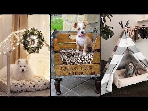 indoor dog room | 20 dog bed decor ideas | dog space ideas | dog nook #dog #animals #pets