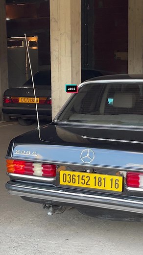 Mercedes AMG Models - W123, W124, W140, W126, and More