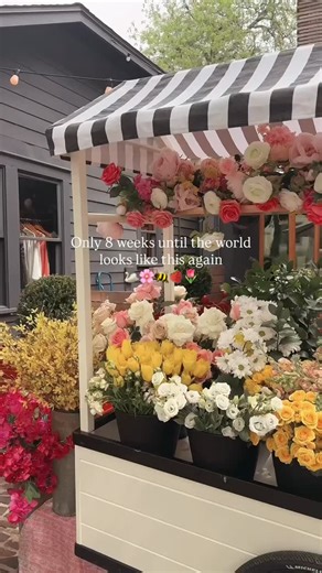 Bonnie Barton on Instagram: "The spring countdown is on 🦢🌼🌷 I love Spring so so so very much. It’s right behind Fall in my opinion 💕 Soon it won’t get dark so early and the birds will be chirping 🫶🏻 #springcountdown #springdecor #springvibes #cottagecore #cottagecorestyle"