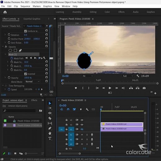 How to Easily Remove Object from Video Using Adobe Premiere Pro
