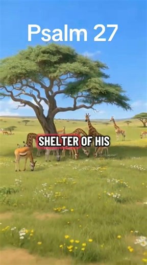 24 reactions · 4 comments | Read and meditate on Psalm 27 | From the Lord | Facebook