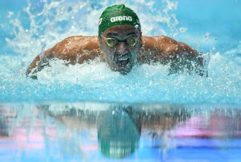 Chad Le Clos shines during national swimming championships