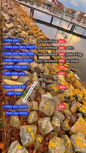 Expressions of affection and emotional longing themes featuring phrases such as "I miss you". #fblifestyles #German #germany #school #schoollife #language #LearnGerman #lifestyle #nursing #Deutschkurs | Learning German with heart