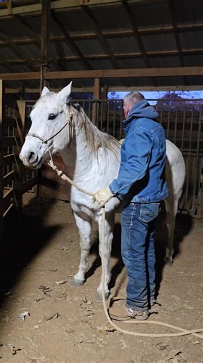 2.2K views · 24 reactions | Johnny Cook on Reels | Facebook