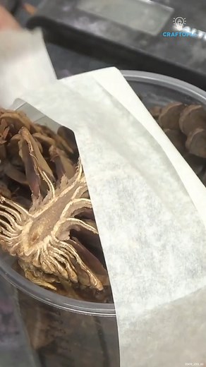 105K views · 1.4K reactions | Pine Cone Turning Surprise #pinecone #woodturning #woodworking | Craftopia | Facebook