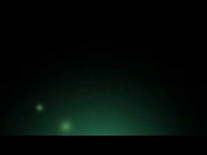 Whale story from RadioLab.mov