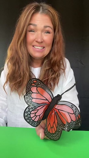 Fun Butterfly Song for Kids | Learn and Play with Butterflies