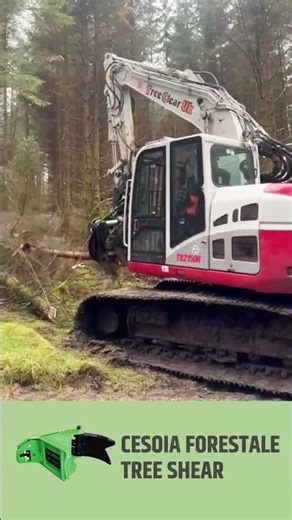 OMEF BI400 Tree Shear in Action: Fast Cutting up to 40 cm Diameter