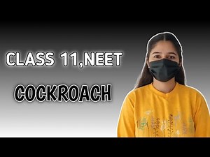 Cockroach |Lecture 3 |Class 11th |NEET