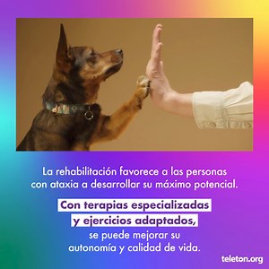 1.3K views | Teletón México on Reels | Facebook