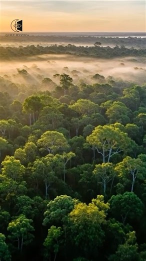 Ancient Secrets Buried in the Amazon | The Lost Evidence Beneath the Jungle #history #documentary