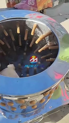 How our chicken plucker quickly removes chicken feathers? ---Automatic chicken plucker in Action!