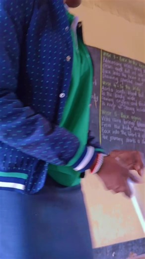 Understanding the Human Circulatory System in Grade 6