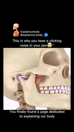 Explainourbody on Instagram: "**“If your jaw makes a clicking sound when you chew, yawn, or talk… this might be why 👀👇 Most people don’t realize the TMJ is one of the most complex joints in the entire human body — and when the disc slips out of place, that little click happens. Crazy how the body works, right? 🤯🧬 Save this reel for later + share it with someone who needs to see this! Follow for mind-blowing biology explained SIMPLE 🔬✨ Your body is cooler than you think 😄💡”** . . . . . . .