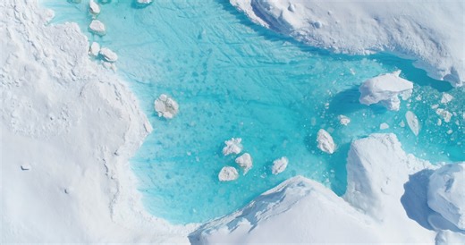 Scientists Discover Secret Ecosystem Living Under Antarctic Frozen Lake