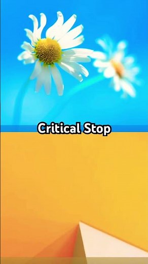 Evolution of Windows error & critical stop sounds