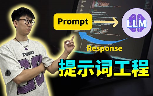 【包教会的】从入门到提示词工程师：全网最通俗易懂Prompt-Learning提示词学习教程！草履虫都学的会！