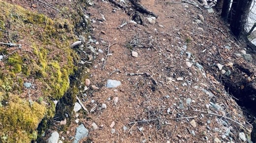 Section of Fundy Footpath to remain closed for another few weeks - The Weather Network