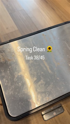Spring Clean 🌻task 38/45 Deep Clean the bins 🗑️ Do I avoid this - yes Does it need to be done - also yes It’s actually quick easy to do and makes such a difference to overall cleanliness of your home! #organisedmum #organisedhome #getorganised #cleanhome #cleaningmotivation #cleaning #springcleaning #springclean #springcleaningtips | The Organised Everyday Mum