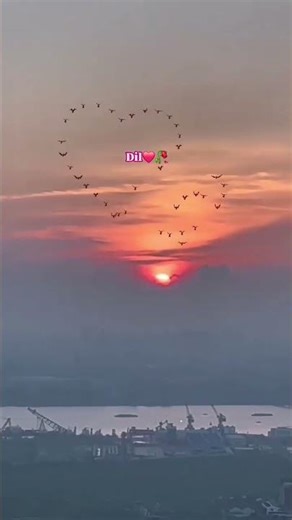 I Put 10 GALLONS of #DIL in My Car