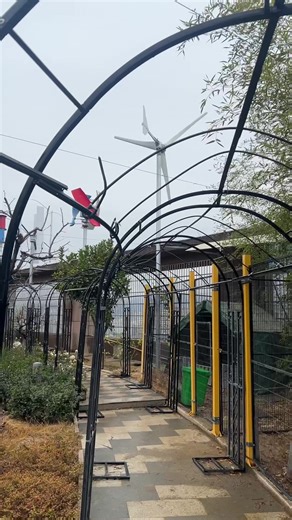 Harnessing Gentle Winds for a Thriving Garden