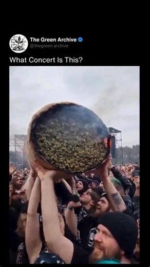 @thegreen.archive on Instagram: "The real reason why crowd surfing feels electric isn’t just the adrenaline — it’s the surrender. The moment you leap, you give up control and trust hundreds of strangers to carry you. Physics takes over — weight distributed across dozens of hands, shifting and flowing like a human tide. The air feels heavier, the noise sharper, and for a few seconds, you’re floating in chaos that somehow stays balanced. It’s not about rebellion or attention — it’s about connectio