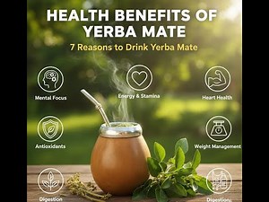 HEALTH BENEFITS OF YERBA MATE 7 Reasons to Drink