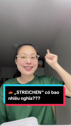 Kennt ihr schon alle Bedeutungen von dem Verb „STREICHEN“? #deutschlernen #tuhoctiengduc