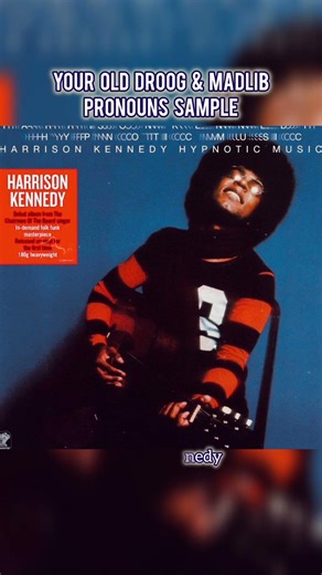 Your Old Droog & Madlib - Pronouns Sample